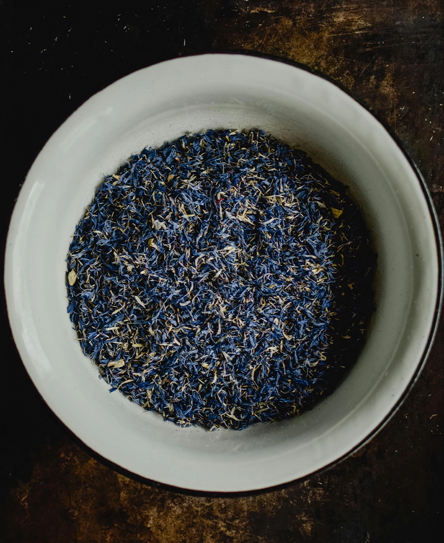 bleu