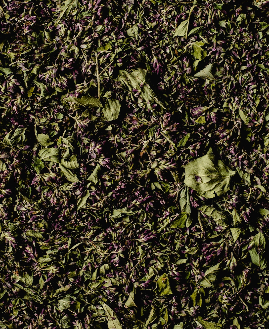 fleurpropos2